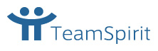 TeamSpirit TeamSpirit